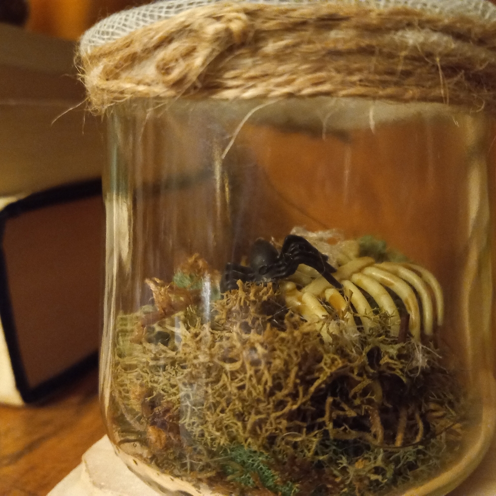 Skeletal specimen jars, set of 3, handmade - Picture 7 of 16
